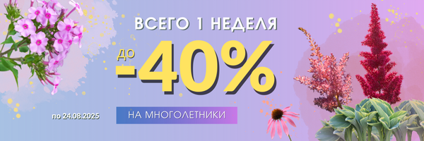 многолетники д 40 проц