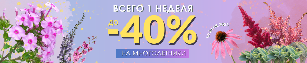 многолетники д 40 проц