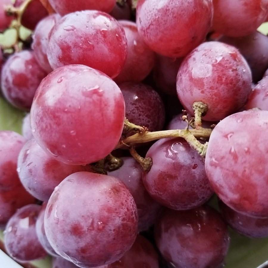 Виноград Ред Глоб Виноград Ред Глоб - Dolina-Sad.Ru