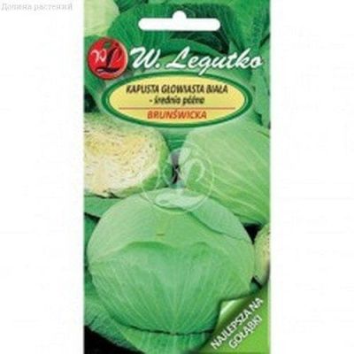 Капуста Белокочанная Брансуик (Польша) Капуста Белокочанная Брансуик (Польша) фото