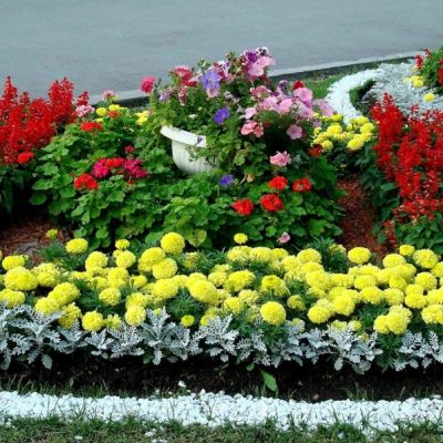 Клумба Буйство Красок Клумба Буйство Красок фото