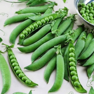 Горох овощной Глориоза Горох овощной Глориоза фото