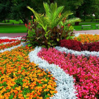 Клумба Буйство Красок Клумба Буйство Красок фото