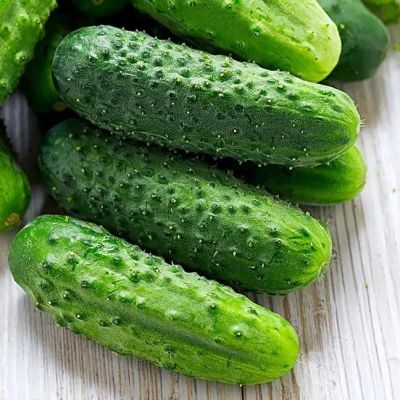 Огурец Надежда (Seminis/Голландия) Огурец Надежда (Seminis/Голландия) фото