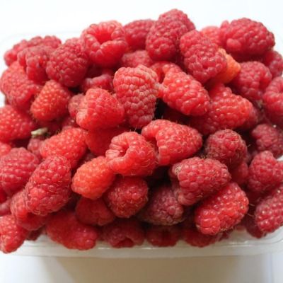 Малина Краса России/Летняя Малина Краса России/Летняя - Dolina-Sad.Ru