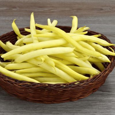 Фасоль овощная Злата (А) фото